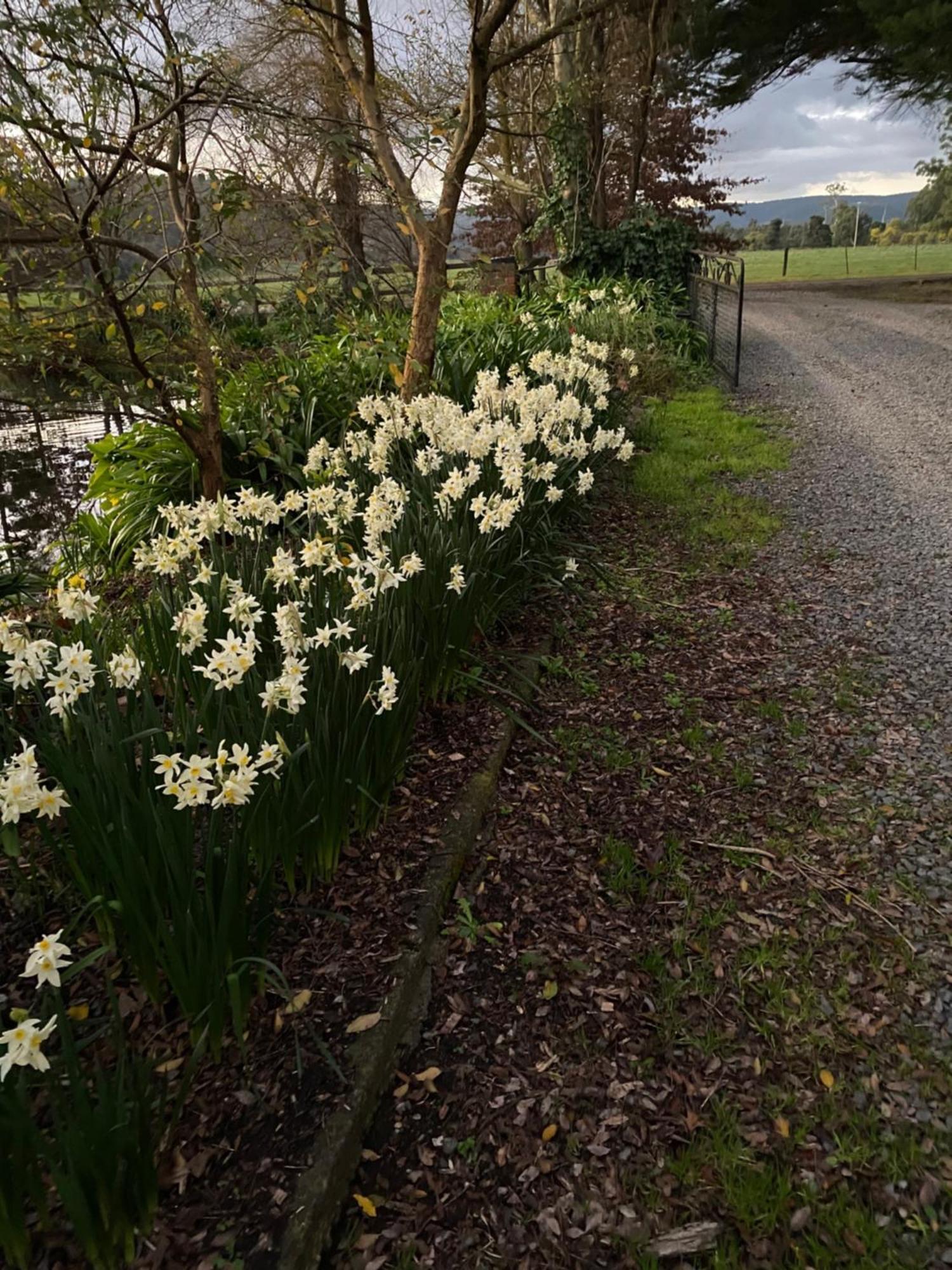 Motel Holly Lane Mews à Yarra Glen Extérieur photo